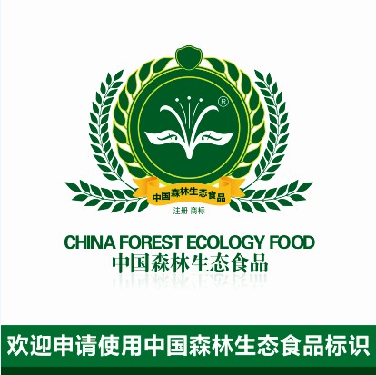 中国森林生态食品